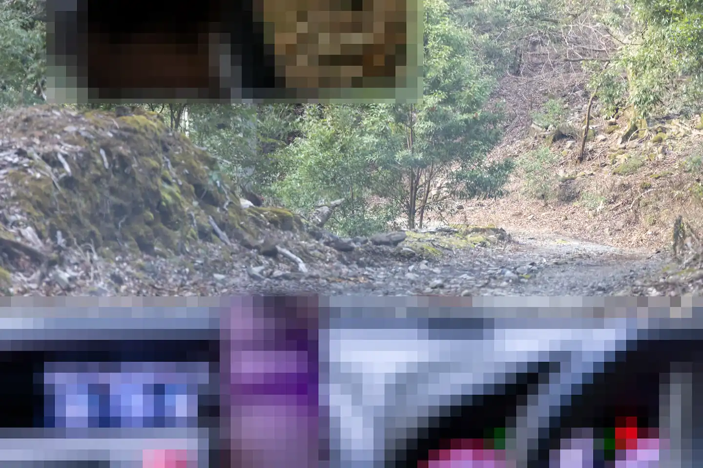 河津七滝附近山中的小路