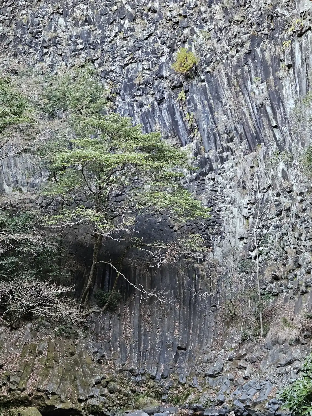 河津七滝的柱状岩石